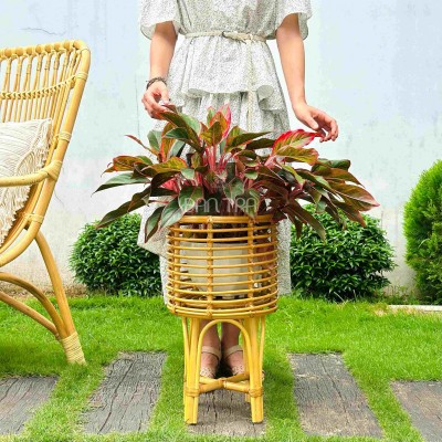 Boho Rattan Plant Stand