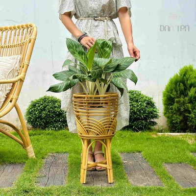 Boho Rattan Plant Stand