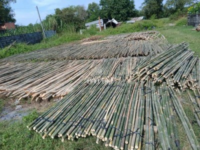 Bamboo Poles