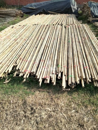 Bamboo Poles