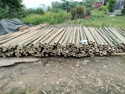 Bamboo Poles