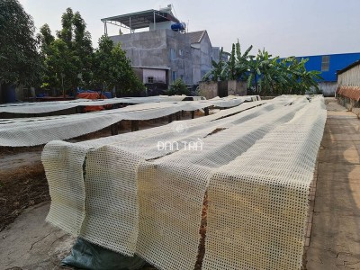 Rattan webbing