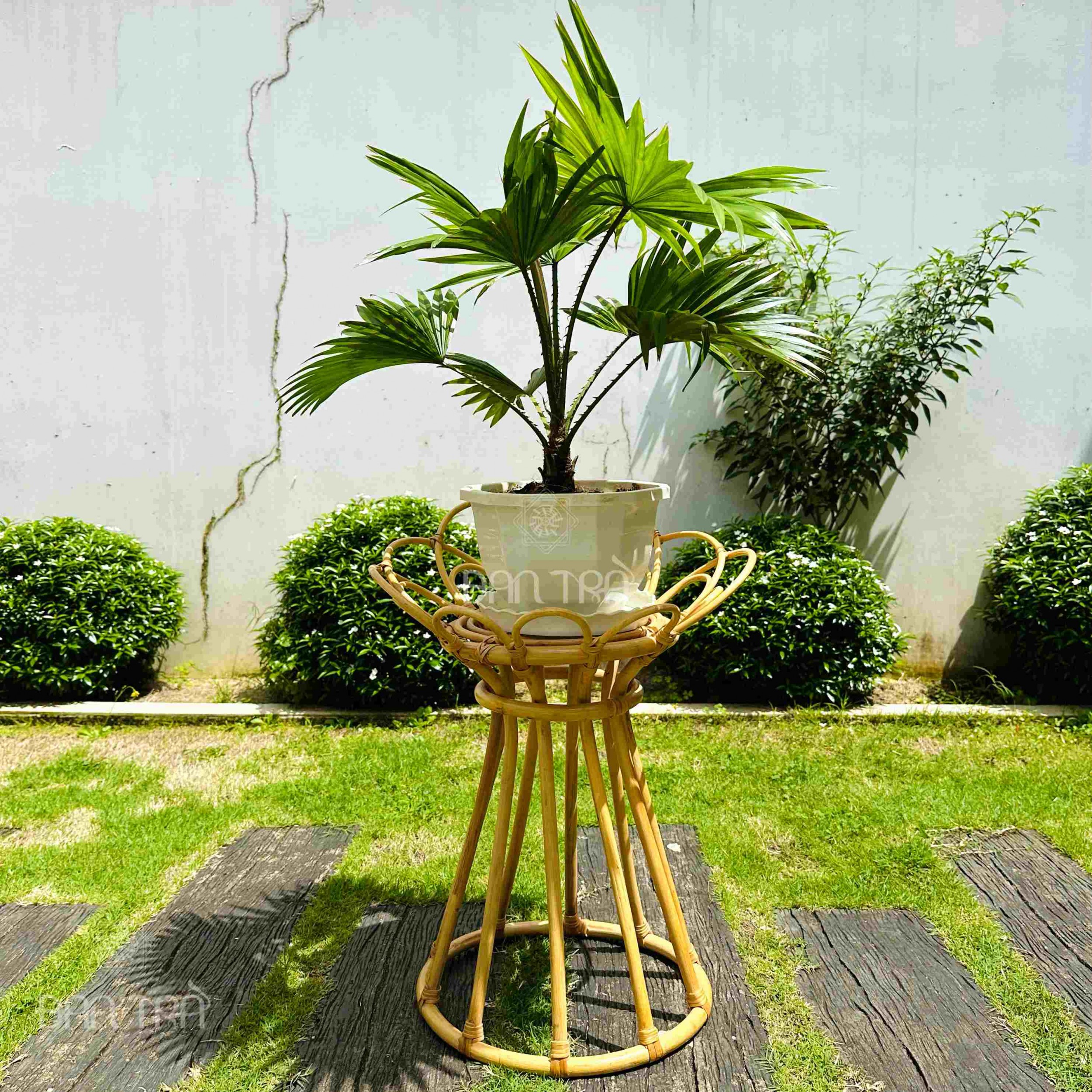 rattan plant stand 2