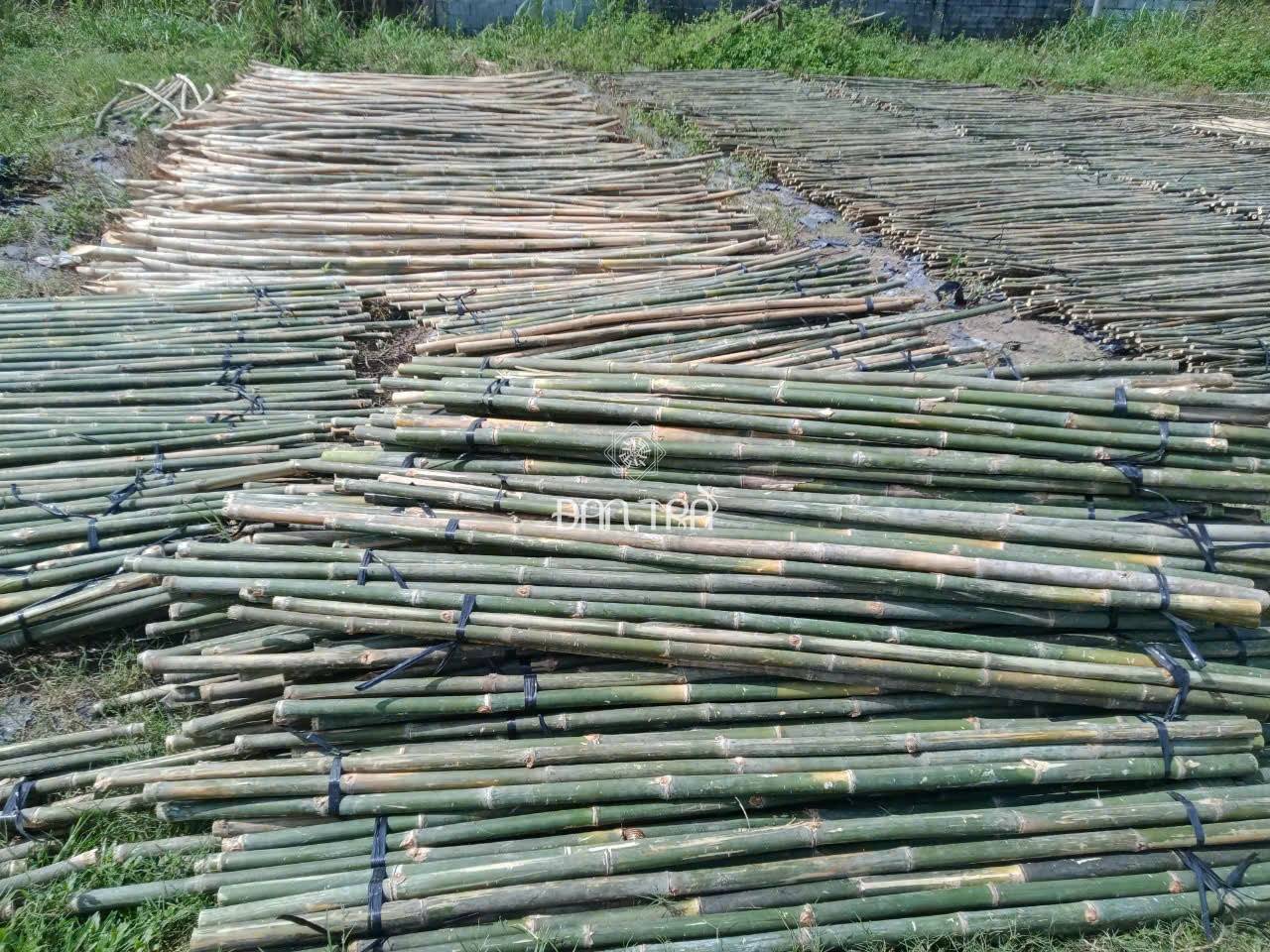 bamboo poles